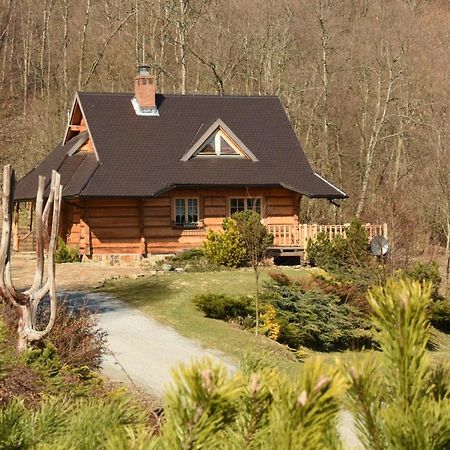 Villa Lesne Uroczysko Cisna Exterior foto