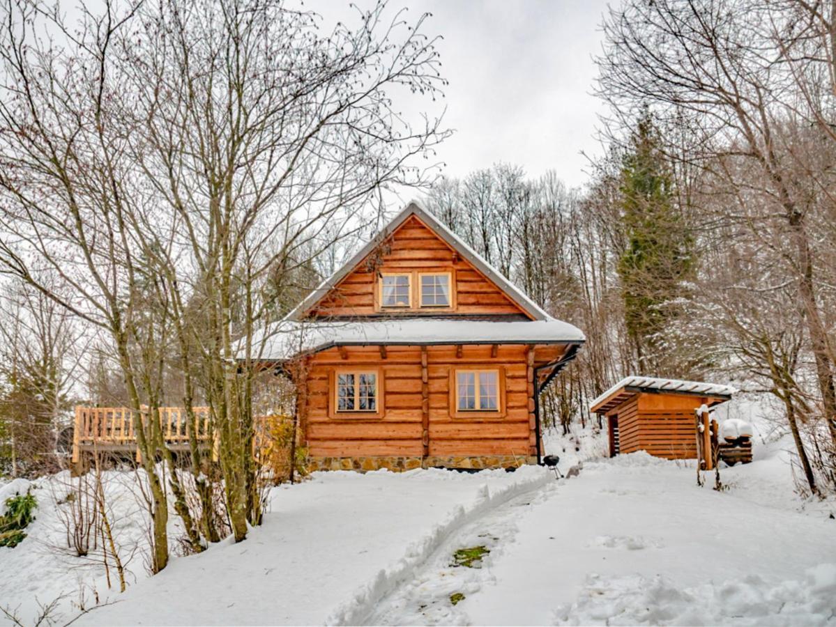 Villa Lesne Uroczysko Cisna Exterior foto