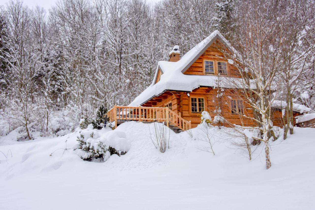 Villa Lesne Uroczysko Cisna Exterior foto