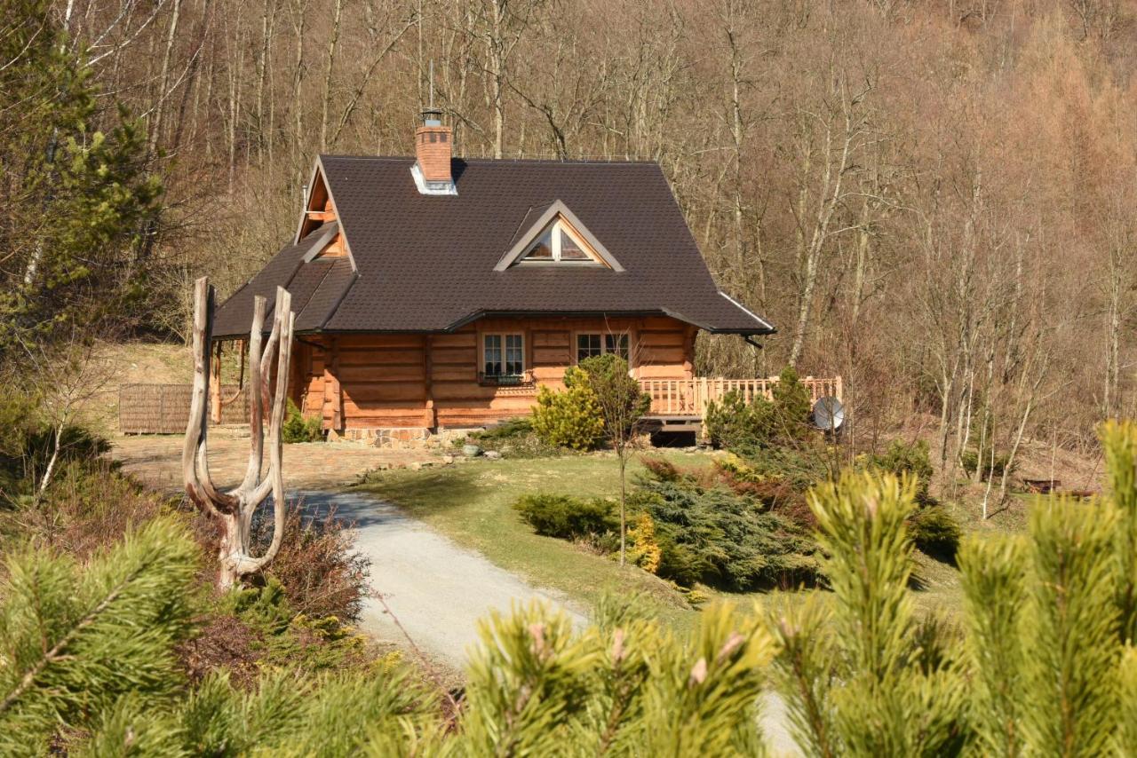 Villa Lesne Uroczysko Cisna Exterior foto