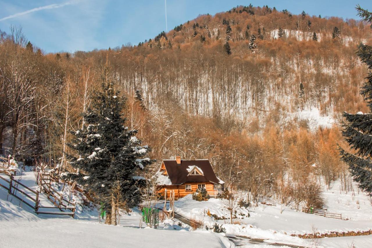 Villa Lesne Uroczysko Cisna Exterior foto