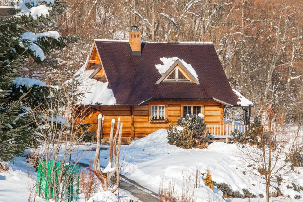 Villa Lesne Uroczysko Cisna Exterior foto